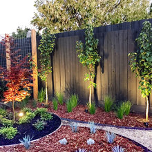 Backyard Landscapes