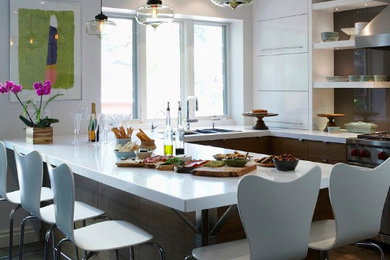 Kitchen - contemporary kitchen idea in Toronto