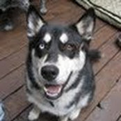 Kelly Lesher's photo