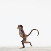 Photo de Paolo Grassi