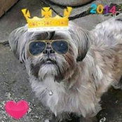 Foto von Mrs-nogger Norton