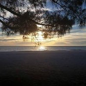 John Germanson's photo