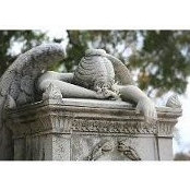 JoAnn Mattaliano's photo