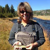 Bev Krieger's photo