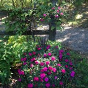 Maureen Garrett's photo