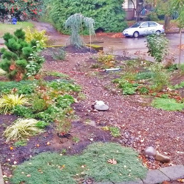 Woodstock Craftsman Cottage Rain Garden
