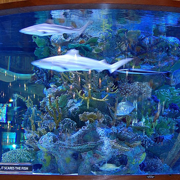 Aquariums