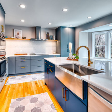 Oakton Transitional Kitchen Remodel