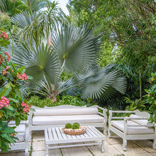 Cool plants