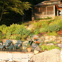 Sassafras landscaping