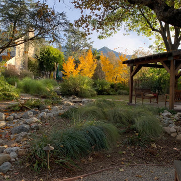 California Craftsman Forest - 5 Years Later