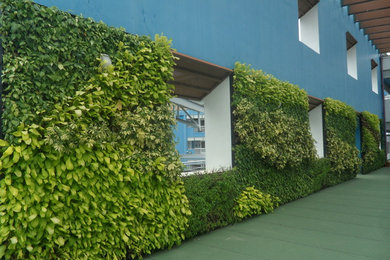 Green Wall @ Junyuan Secondary School,Singapore