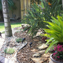 Landscape Ideas
