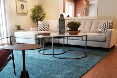 Home design - 1960s home design idea in Chicago