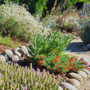 A Native & Herb Garden to Stroll Through