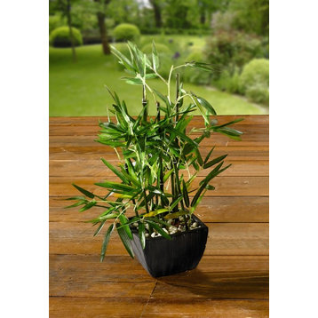 18" Faux Bamboo Plant, Lush Artificial Bamboo, Pot, River Stones