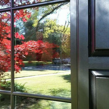 Window Shutters