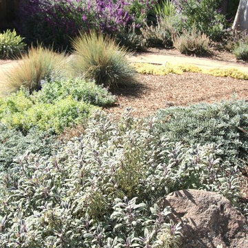 Vivide colors garden