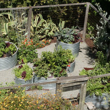 side yard