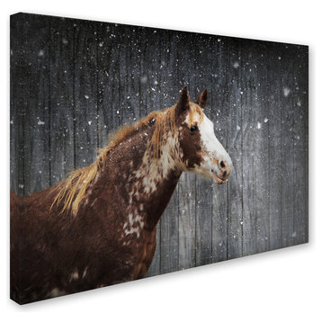 Jai Johnson 'Winters Arrival Horse' Canvas Art, 47 x 35