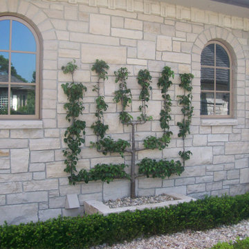 Espalier Tree Installations