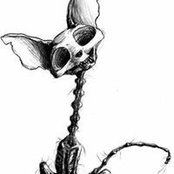 Daniel Borg's photo