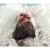 Benjamin Cheney's photo