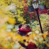 Allison McSherry's photo
