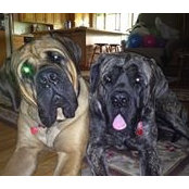 Jean Paque's photo