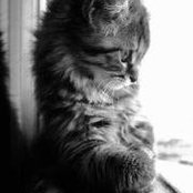 Lisa Trosien's photo