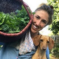 Instar Farms's profile photo