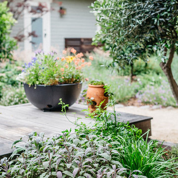 Hollywood Grove Permaculture