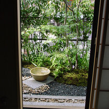 坪庭