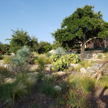 Dripping Springs Natural Oasis