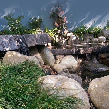 'Brentwood Beck'