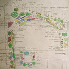 Shallow garden