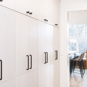 Colombine Mountain Modern Home