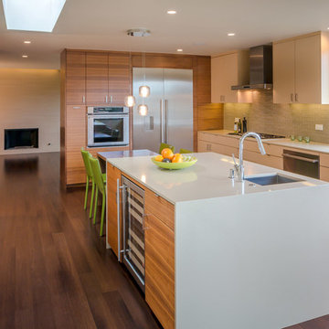 Contemporary Kitchen