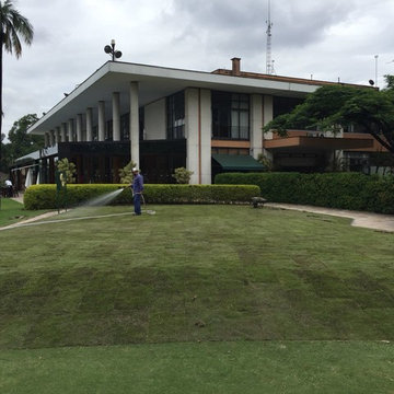 L1F Zoysia in São Paulo, Brazil