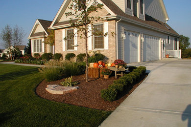 This is an example of a transitional landscaping in Chicago.