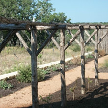 Small Garden
