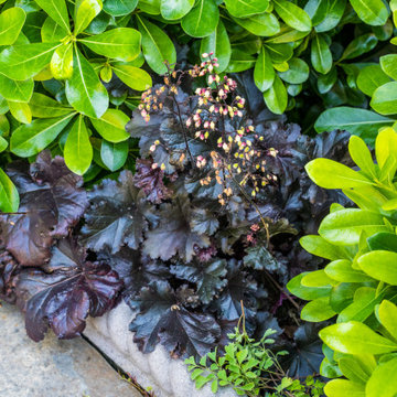 EAST LONDON VICTORIAN FRONT GARDEN DESIGN