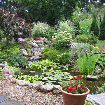 Masicki Backyard Pond - Westport