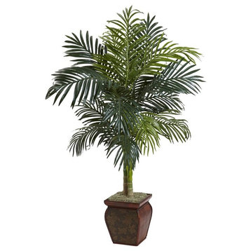 4.5' Golden Cane Palm with Decorative Container