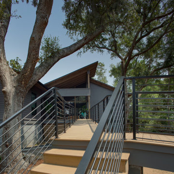 Stansell Dogtrot