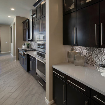 Annapolis Plan at Victoria | Phoenix, AZ