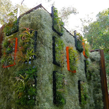 Rustic Canyon
