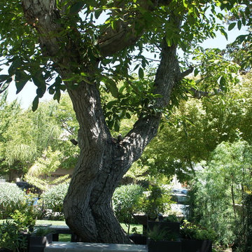 SHADYGLADE x LANDSCAPE