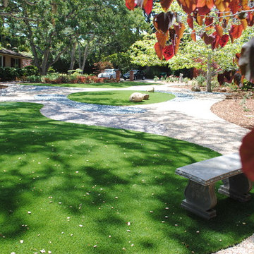 Lawn Removal