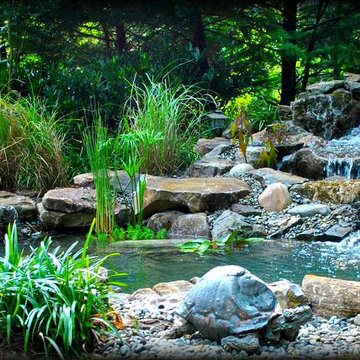 Koi Pond and Waterfall by Full Service Aquatics. Project site Cranford, NJ.